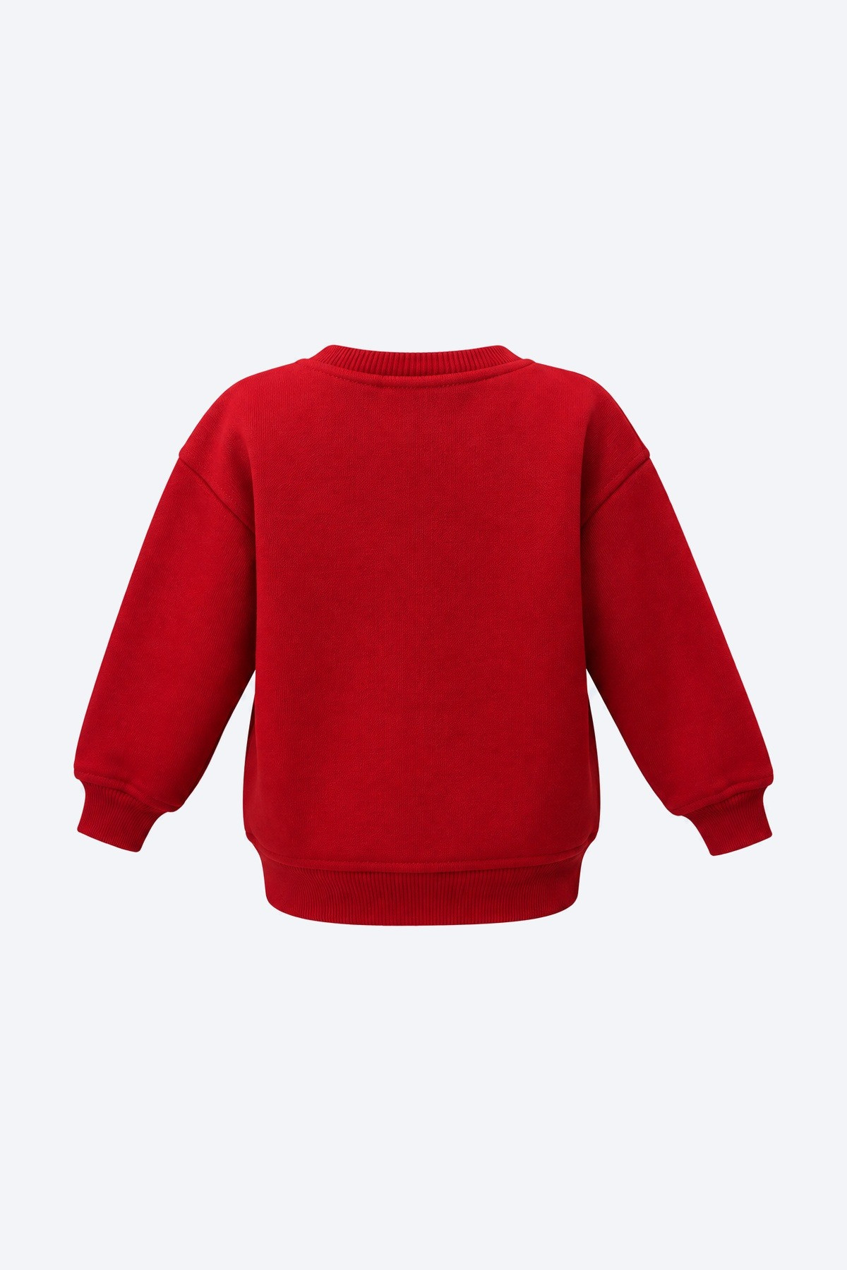 Ayıcık Aplikeli Kız Çocuk Sweatshirt 3
